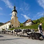 Glitzerstein Muhlbach-sur-Munster