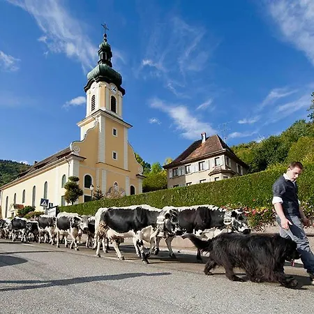 Glitzerstein Muhlbach-sur-Munster